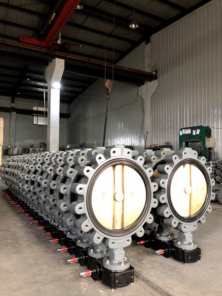 帶鎖緊裝置凸耳銅板蝶閥DN350